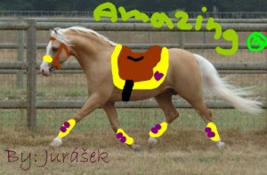 Obrazek