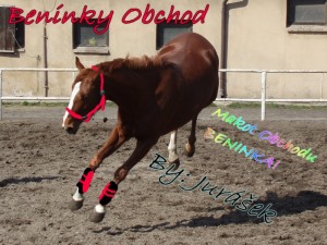 Obrazek