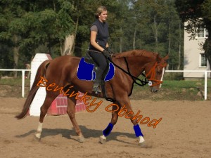 Obrazek