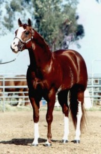 Obrazek